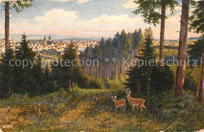 Verlag WIRO Wiedemann Nr. 2447 B Freudenstadt Schwarzwald