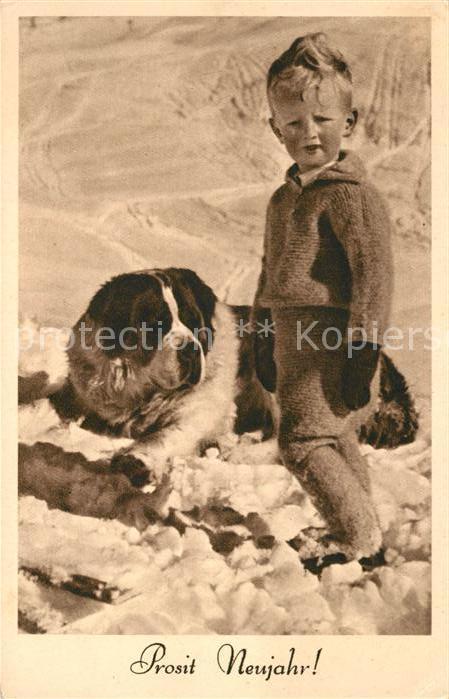 Bernhardiner Kind Neujahr Tierschutzverein Wien