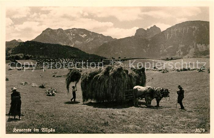 Ernte Landwirtschaft Heuernte Allgäu
