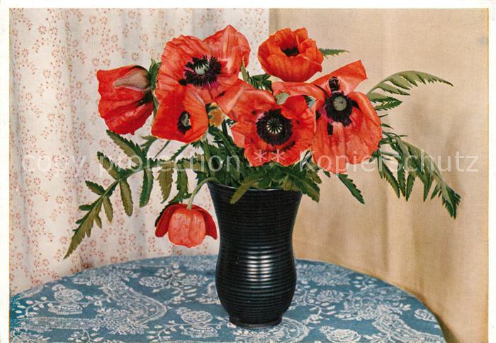 Blumen Mohnblumen Vase