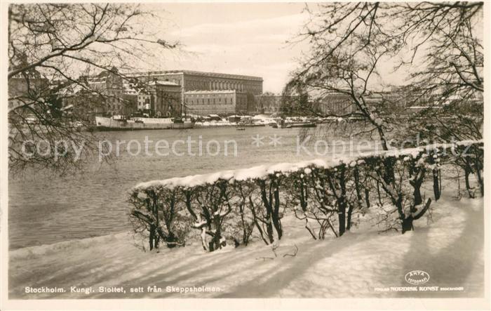 Stockholm Slottet fran Skeppsholmen