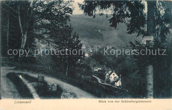 Bad Liebenzell Blick von der Schoembergerstrasse Waldpartie