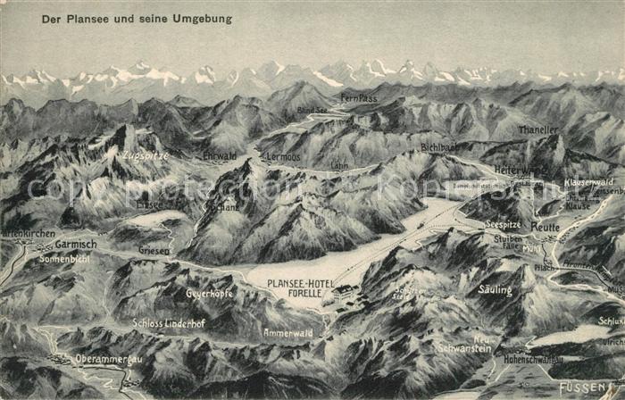 Plansee Hotel Forelle und Umgebung Alpen aus der Vogelperspektive