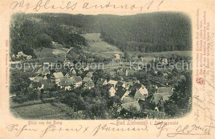 Bad Liebenzell Panorama Blick von der Burg Kurort im Schwarzwald