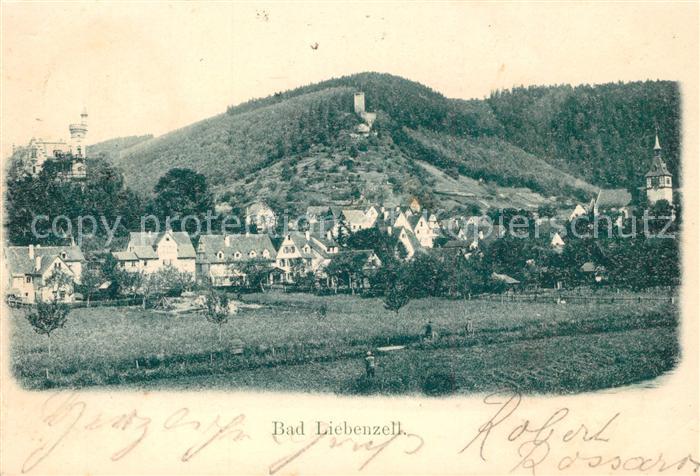 Bad Liebenzell Panorama mit Kirche und Burg