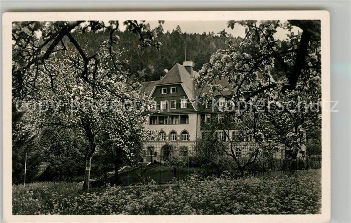 Bad Liebenzell Diakonissen Erholungsheim Baumbluete