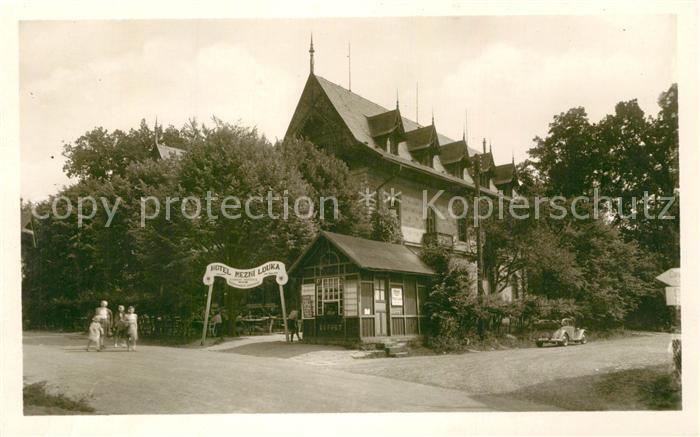 Ceske Svycarsko Hotel Mezni louka