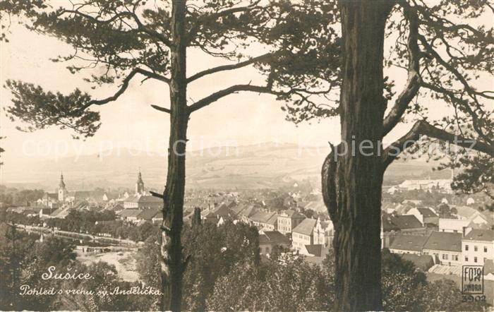 Susice Pohled z vrchu sv Andelicka