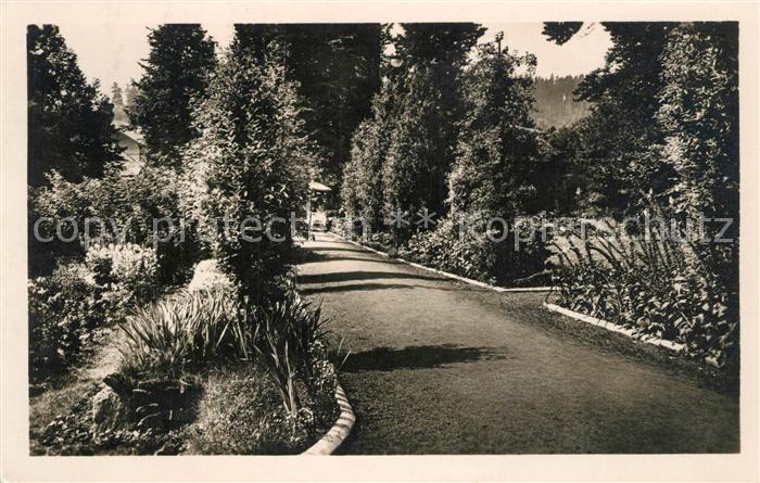 Dubi Sanatorium Tereziny lazne