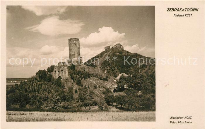 Tocnik Krivokltsko Zebrak