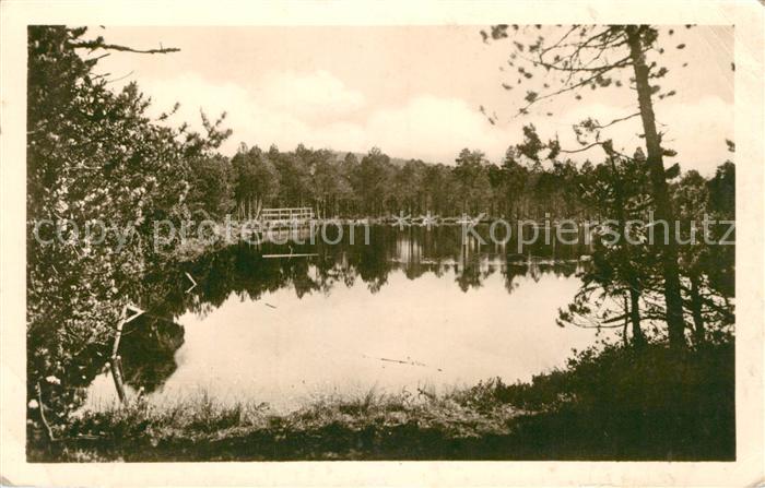 Zlate Hory Zuckmantel Partie am See