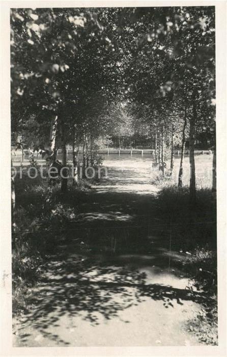 Bohdanec Lazne Partie z parku