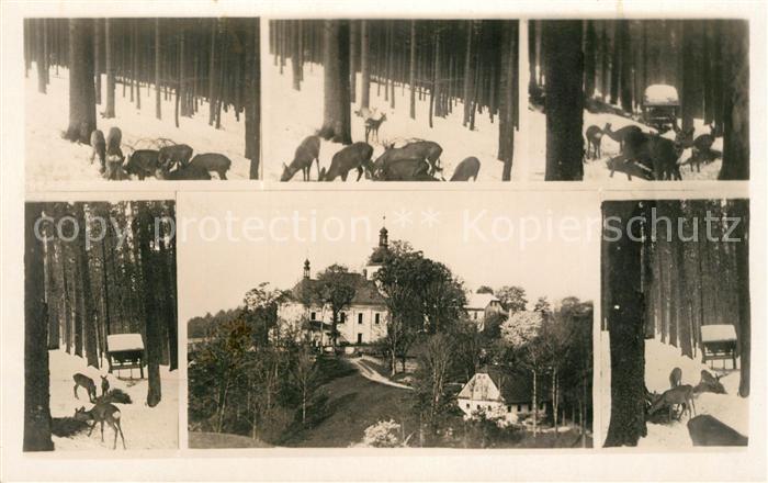 Velky Senov Gross Schoenau Wild v. Uhrinov-Padoli a Okoli