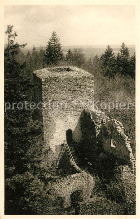 Sobeslav Burgruine Chaustnik