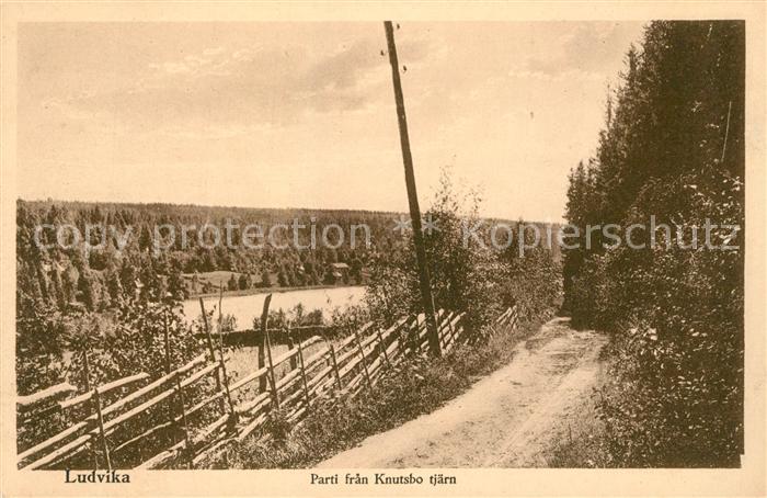 Ludvika Parti fran Knutsbo tjaern