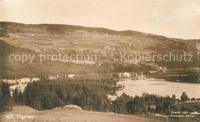 Fagernes Landschaftspanorama