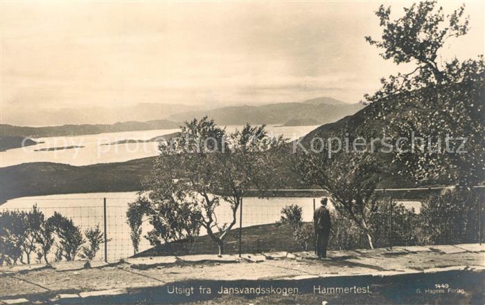 Hammerfest Utsigt fra Jansvandsskogen