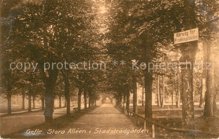 Gefle Stora Alleen i Stadstraedgarden