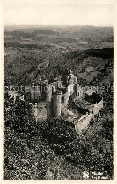 Vianden Les Ruines Vue aerienne