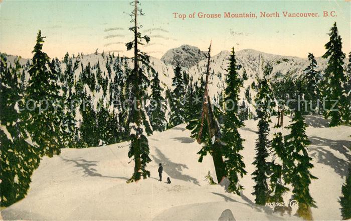 Vancouver British Columbia tTop of Grouse Mountain