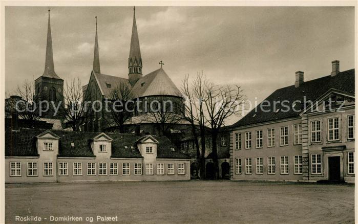 Roskilde Domkirken og Palaeet