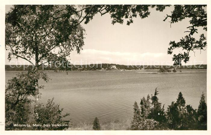Moensteras Motiv fran Verkholm