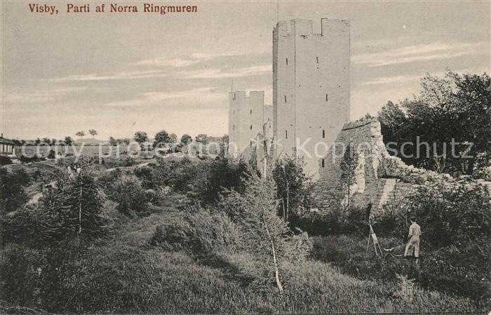 Visby Parti af Norra Ringmuren