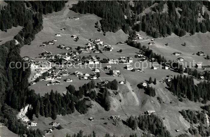 Schlegeli Fliegeraufnahme