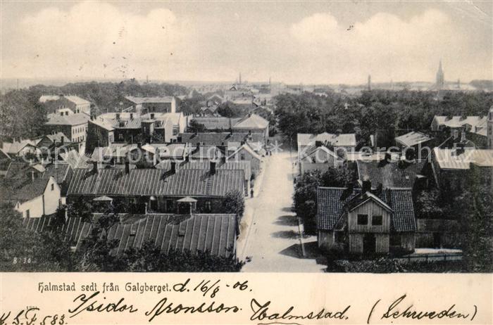 Halmstad Galgbergel Panorama