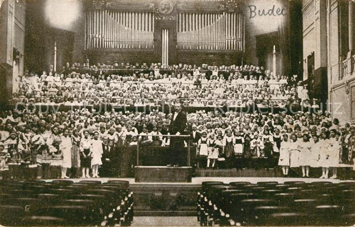 Velke Brezno Hudebni Budec