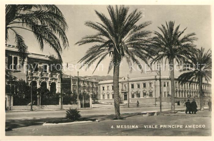 Messina Viale Principe Amedeo Palmen