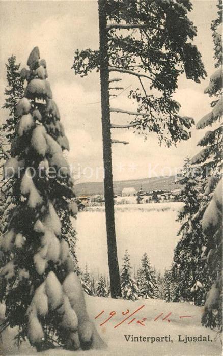 Ljusdal Vinterparti Winterlandschaft