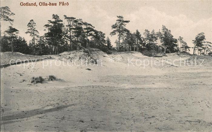 Olla-hau Duenen Wald