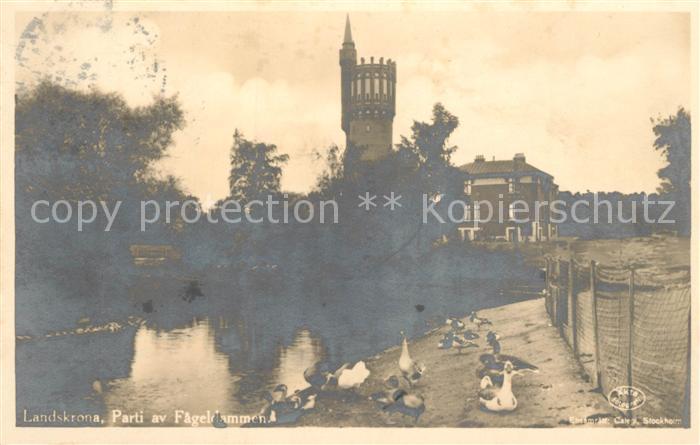 Landskrona Parti av Fageldammen