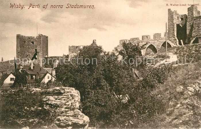 Visby Wisby Parti af norra Stadsmuren Stadtmauern Ruinen