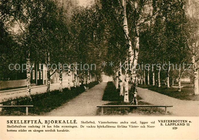 Skelleftea Bjoerkalle