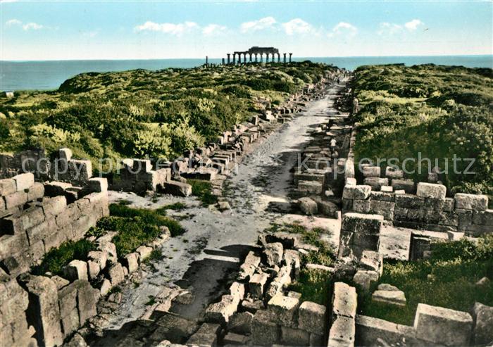 Selinunte Acropoli Akropolis Ruinen Antike Staette