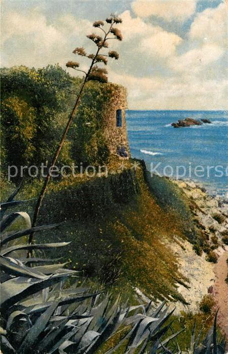 La Mortola Kueste Riviera di Ponente Photochromie Serie 189 No 2652