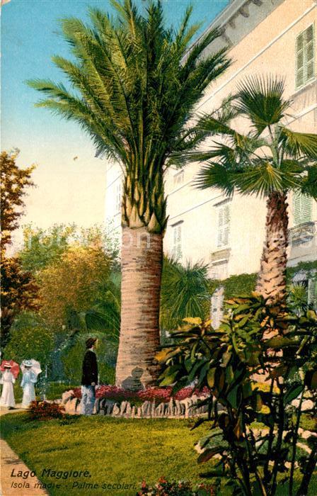 Isola Madre Lago Maggiore Palme secolari