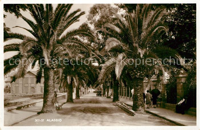 ALAssIO Savona Liguria IT Palmen Allee