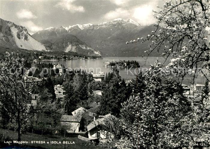Stresa Lago Maggiore Isola Bella Baumbluete Alpen