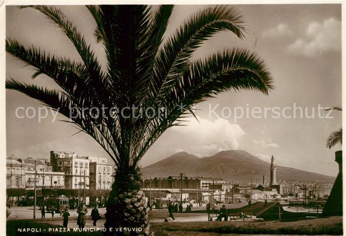 Napoli Neapel Piazza Municipio e Vesuvio Palme Vulkan Vesuv