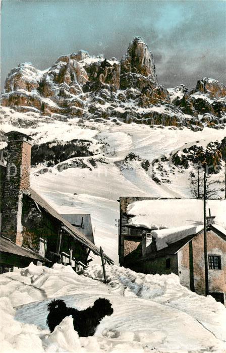 Dolomiti di Brenta Motivo