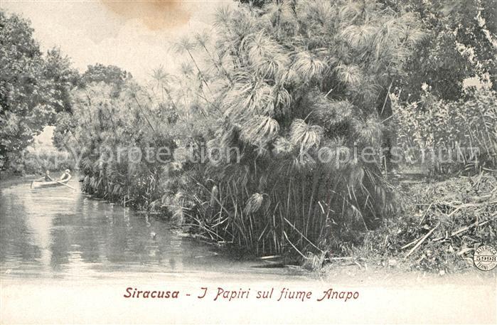 Siracusa I Papiri sul fiume Anapo