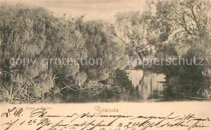 Siracusa Fiume Anapo e Papirus