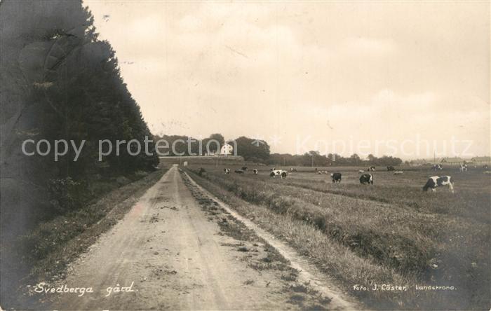 Svedberg Svedberga gard