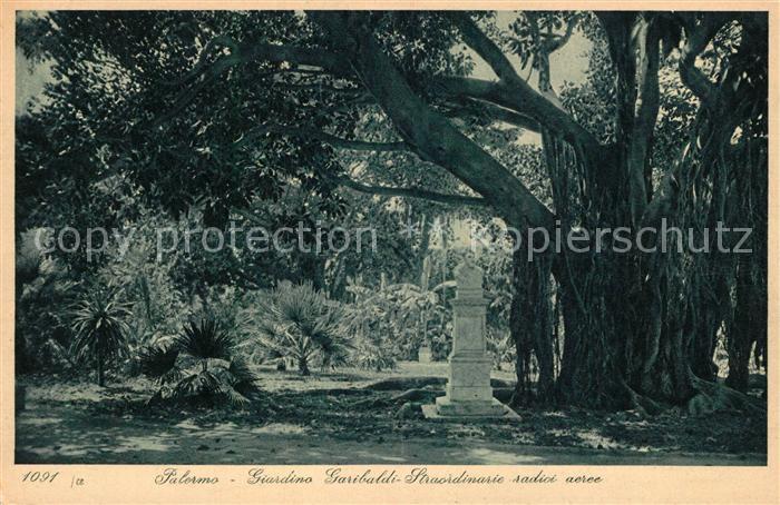 Palermo Sicilia Giardino Garibaldi Straordinarie radici aeree