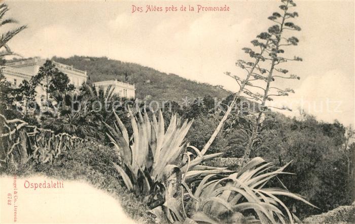 Ospedaletti Des Aloees pres de la Promenade