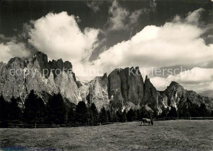 Trento Dirupi di Larsec visti da Ciampedie