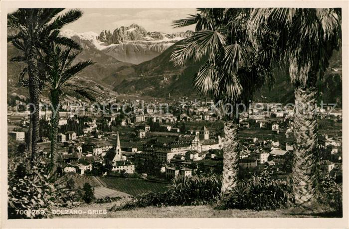Bolzano Panorama Alpen Palmen